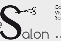 le-salon-feillens